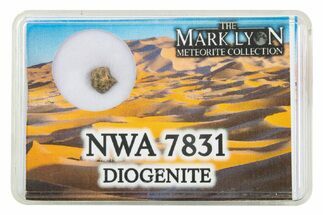 Diogenite Meteorite Fragment with Case - NWA 7831