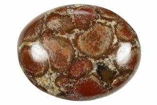 Polished King Cobra Orbicular Jasper Pocket Stones