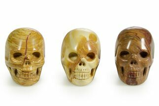 1.5" Polished Nevada Wonderstone Skulls 