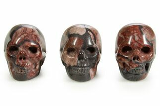 1.5" Polished Red Picture Jasper Skulls