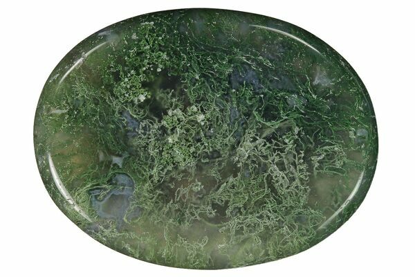 Moss Agate Worry Stone Moss Agate Worry Stone