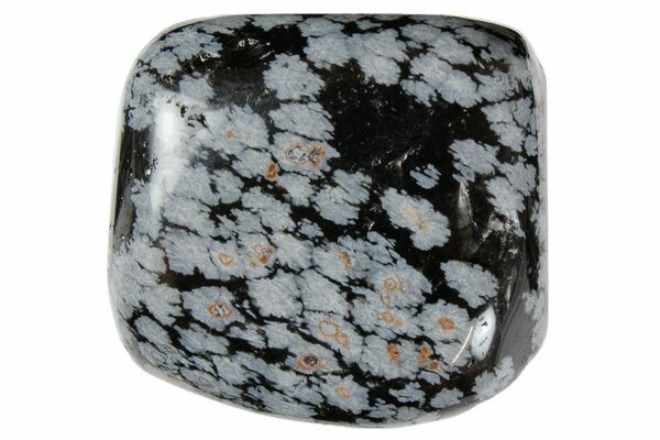 SNOWFLAKE OBSIDIAN med-lg tumbled 1/2 lb bulk stones black & off-white 1-1 1/4" 