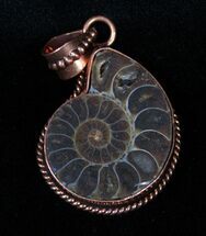 Copper Ammonite Pendant #3374