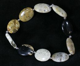 Polished Petrified Palmwood & Fossil Coral Bracelet #24669