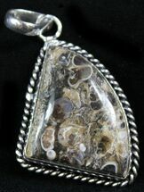 Teardrop Shaped Fossil Turritella (Gastropod) Pendant #26894