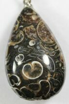 Teardrop Shaped Fossil Turritella (Gastropod) Pendant #26908