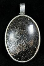 Colorado Agatized Dinosaur Bone Pendant #26947