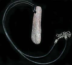 Colorado Agatized Dinosaur Bone Necklace #26984