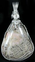 Unique, Silver Wire Wrapped Dinosaur Bone Pendant - Colorado #26991