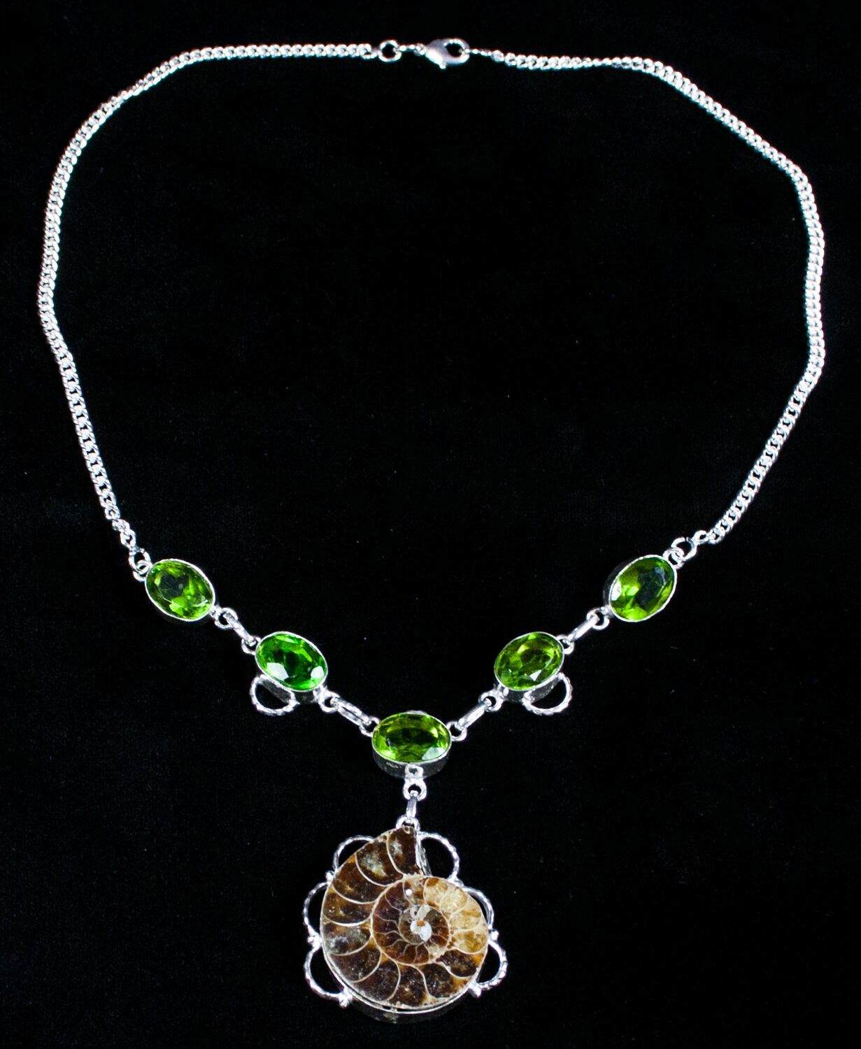Fossil Ammonite Necklace (3584) For Sale