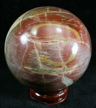 Petrified Wood Spheres For Sale - FossilEra.com