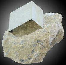 mm Pyrite Cube on Matrix - Navajun, Spain #30967