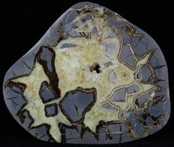 Polished Septarian Slice With Crystals - Utah #33109