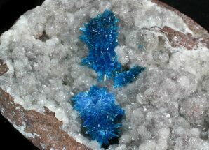 Bright Blue Cavansite Crystals on Stilbite - India #33698