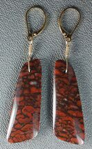 Brilliant, Red Agatized Dinosaur Gembone Earrings #33827