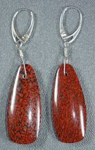 Rich, Red Agatized Dinosaur Gembone Earrings #33830
