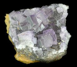 Dark Purple, Cubic Fluorite Crystals - China #33707