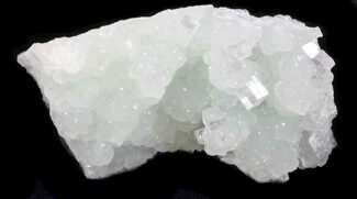 Apophyllite Crystals on Prehnite - India #34068