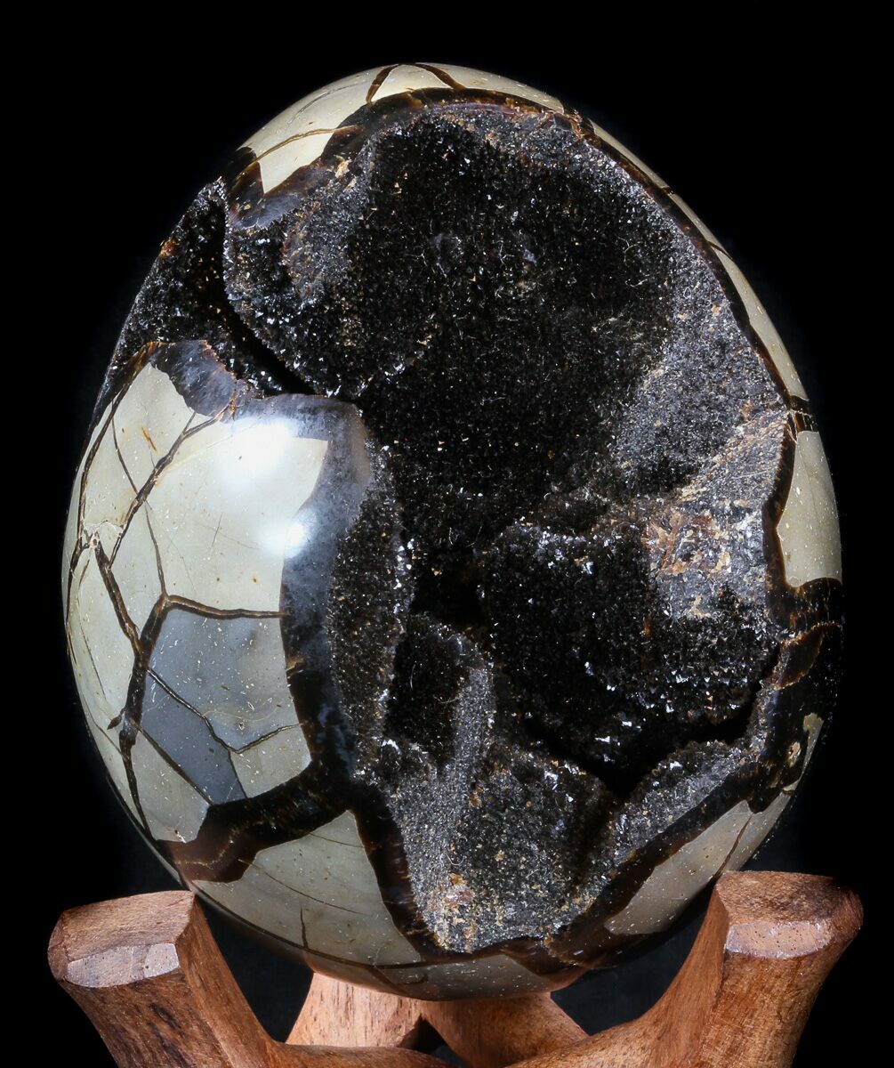 4.7" Septarian Geode - Shiny Black Crystals For Sale (#34719