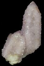 Cactus Quartz (Amethyst) Crystals - South Africa #34964