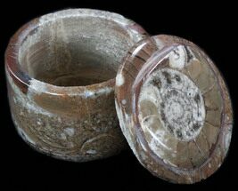 Small Fossil Goniatite Jar (Brown) - Stoneware #35185