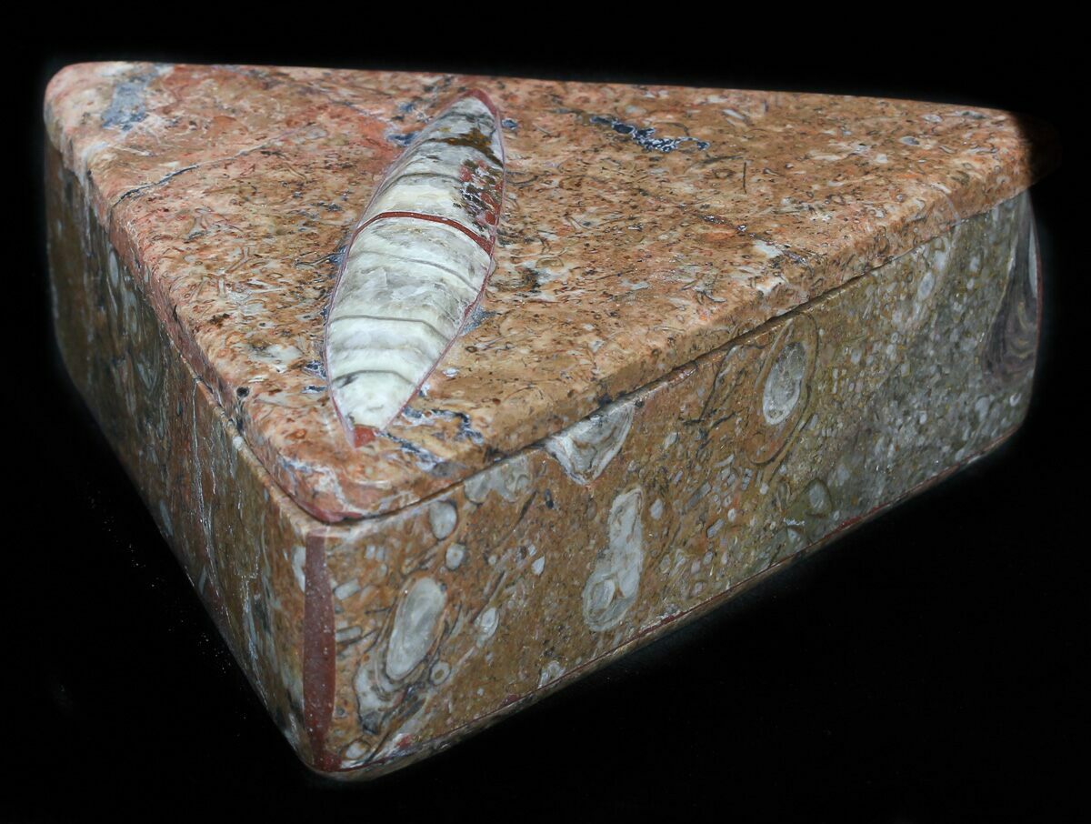 Triangular Fossils Fossil Orthoceras Box (Triangle) - Stoneware (#35272) For Sale ...