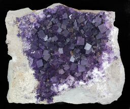 Purple, Cubic Fluorite Plate From Illinois (Screaming Deal) #35709