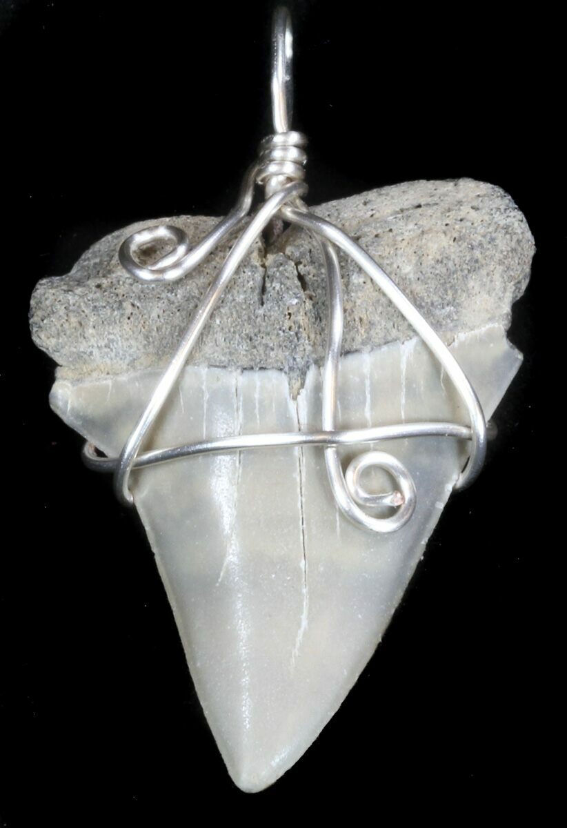 Fossil Mako Shark Tooth Pendant (#36441) For Sale - FossilEra.com