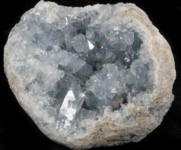 Celestine (Celestite) Geode - Icy Blue Crystals #37088