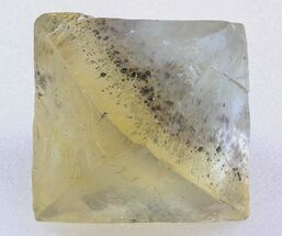 Fluorite Octahedron (Chalcopyrite Inclusions) - Illinois #37841