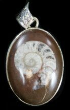 Fossil Goniatite Pendant - Sterling Silver #38087