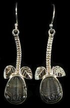 Sterling Silver Elrathia Trilobite Earrings #38123