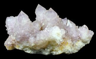 Cactus Quartz (Amethyst) Cluster - Large Crystals #38997