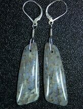 Blue/Green Spiderweb Dinosaur Gembone Earrings #22531