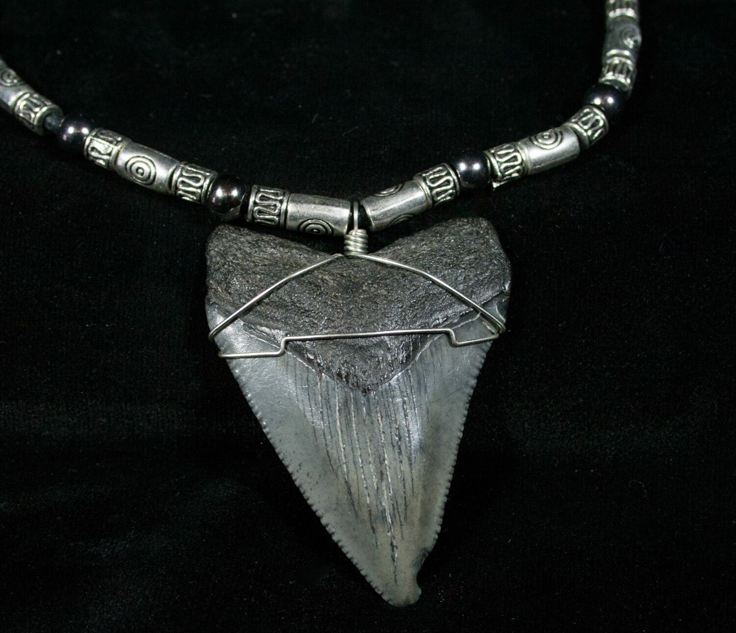 Serrated Megalodon Tooth Necklace For Sale (#4183 ...