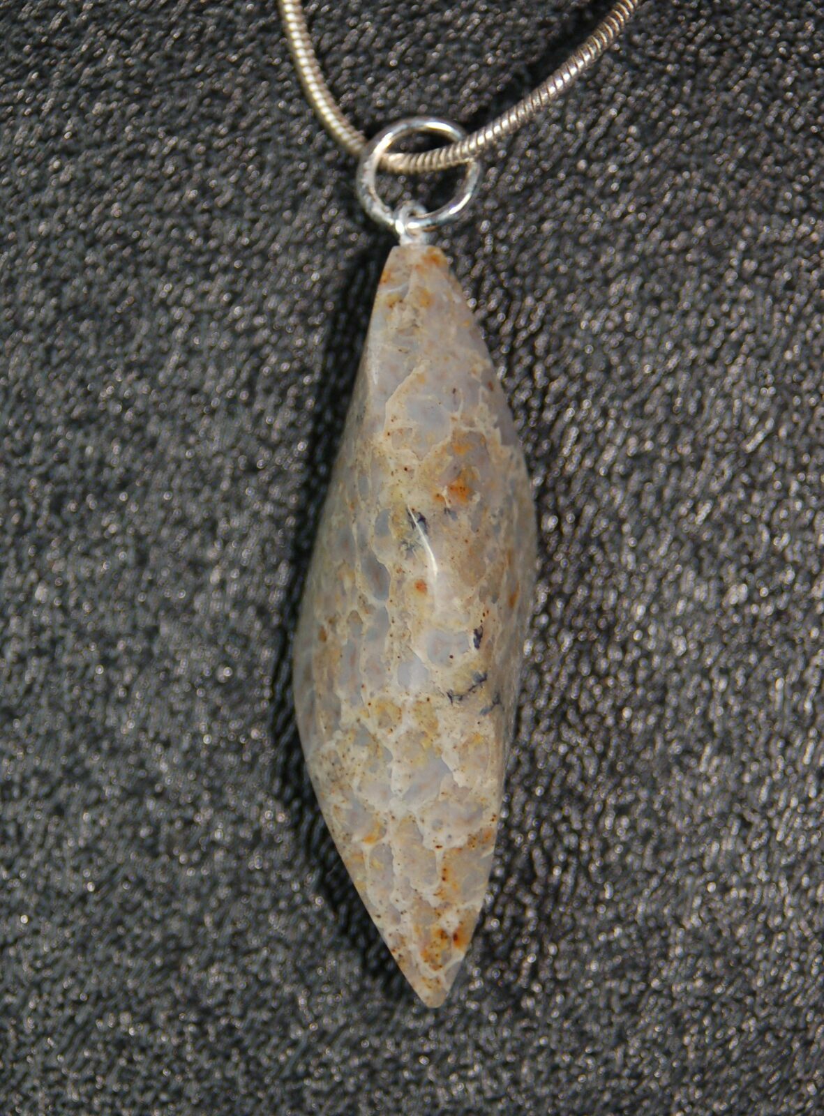 【スワロフスキー】The Gang of Dogs - Pepino Agatized Dinosaur Bone Pendant - Green Spiderweb (#4277) For