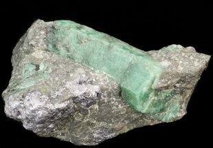 Beryl (Var: Emerald) Crystal in Schist & Graphite - Bahia, Brazil #44127