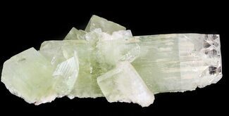 Zoned Apophyllite Crystal with Stilbite - India #44393