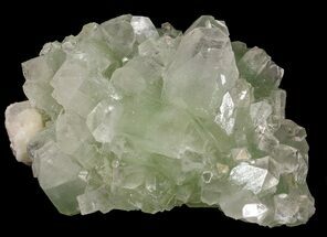 Apple Green Apophyllite Crystal Cluster - India #44435