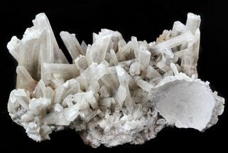 Selenite Crystals on Matrix - Mexico #45195