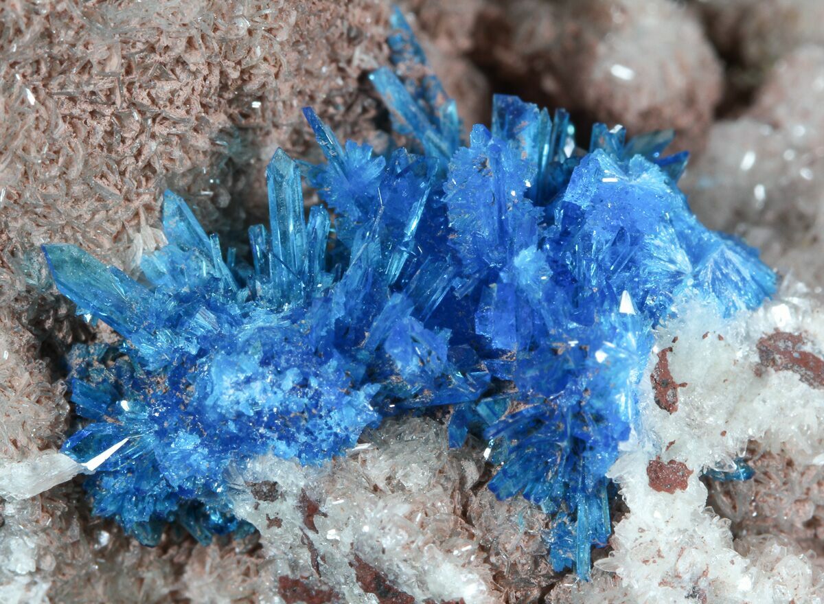 Vibrant Blue Cavansite on Stilbite - India (#45871) For Sale ...