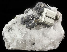 Cubic Pyrite, Quartz & Galena Crystal Cluster - Peru #46100
