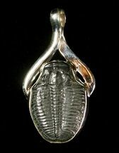 Elrathia Trilobite Pendant #4503