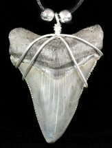 Serrated, Fossil Megalodon Tooth Necklace #47775