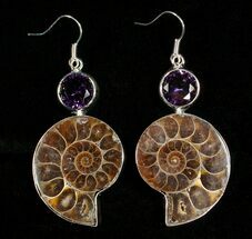 Ammonite Earrings With Amethyst #4515
