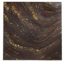 Tiger Iron Stromatolite Shower Tile - Billion Years Old #48811