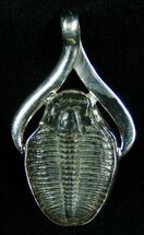 Elrathia Trilobite Pendant #4550