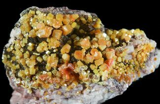 Orange Wulfenite Crystal Cluster - Rowley Mine, AZ #49327
