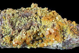 Orange Hexagonal Mimetite Crystal Cluster - Rowley Mine, AZ #49376