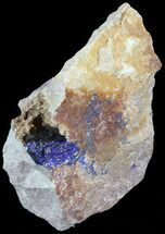 Azurite Crystal in Matrix - Morocco #49447